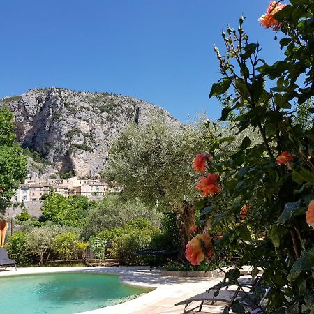 Bed and Breakfast Bastide Des Oliviers Мустьє-Сент-Марі Екстер'єр фото