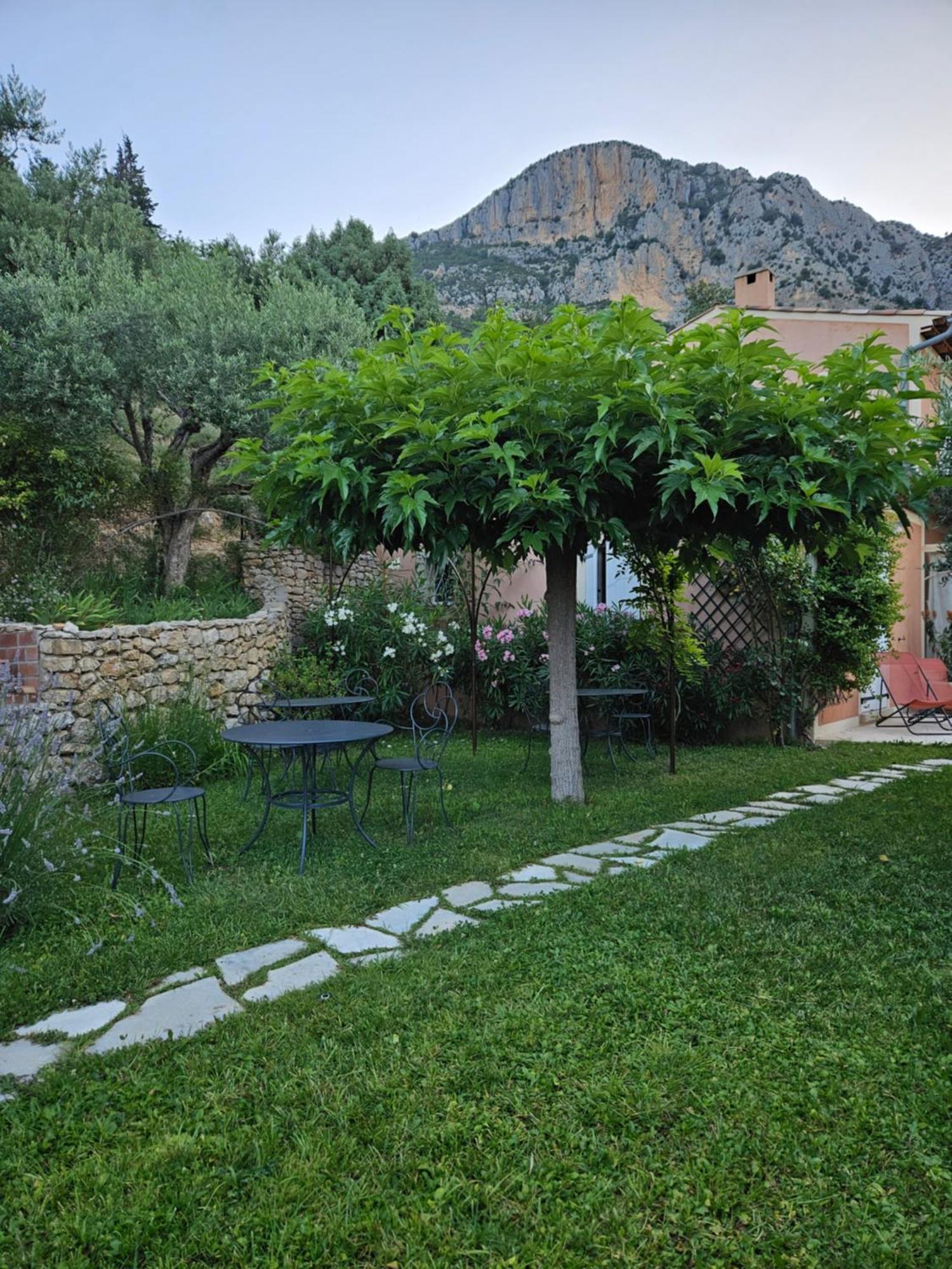Bed and Breakfast Bastide Des Oliviers Мустьє-Сент-Марі Екстер'єр фото